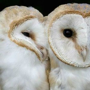 Meet your Posher, Beatriz